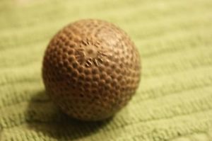 Cheal Strewsall "the minster" Bramble golf ball