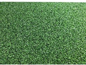 3.75 Ft. X 9 Ft. TruLine Platinum Putt Indoor/Outdoor Turf