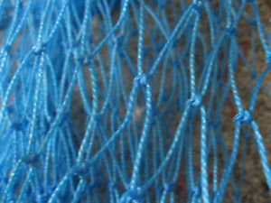 100X16 POLYETHYLENE NET CAME BARD POULTRY  NETING POLY 2'' SQURE 24 PLAY