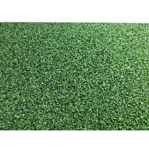 Turf Evolutions 3.75 ft. x 9 ft. TruLine Platinum Putt Indoor/Outdoor Turf
