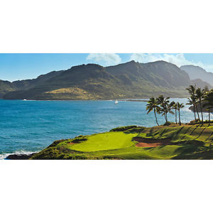 BIGGIES EXTRA-LARGE KAUAI LAGOON GOLF COURSE MURAL image 1