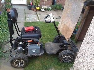 electric golf buggy